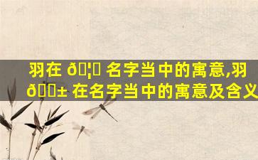 羽在 🦁 名字当中的寓意,羽 🐱 在名字当中的寓意及含义